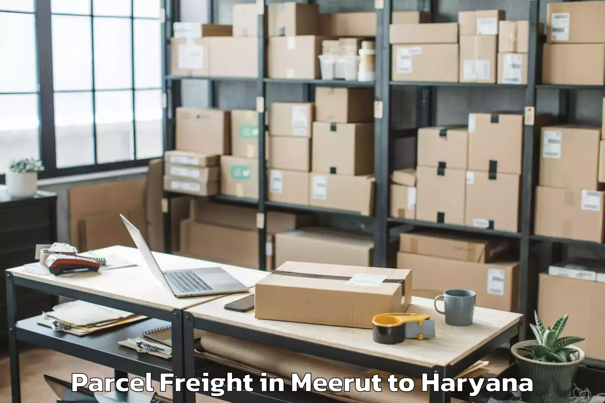 Quality Meerut to Narnaul Parcel Freight